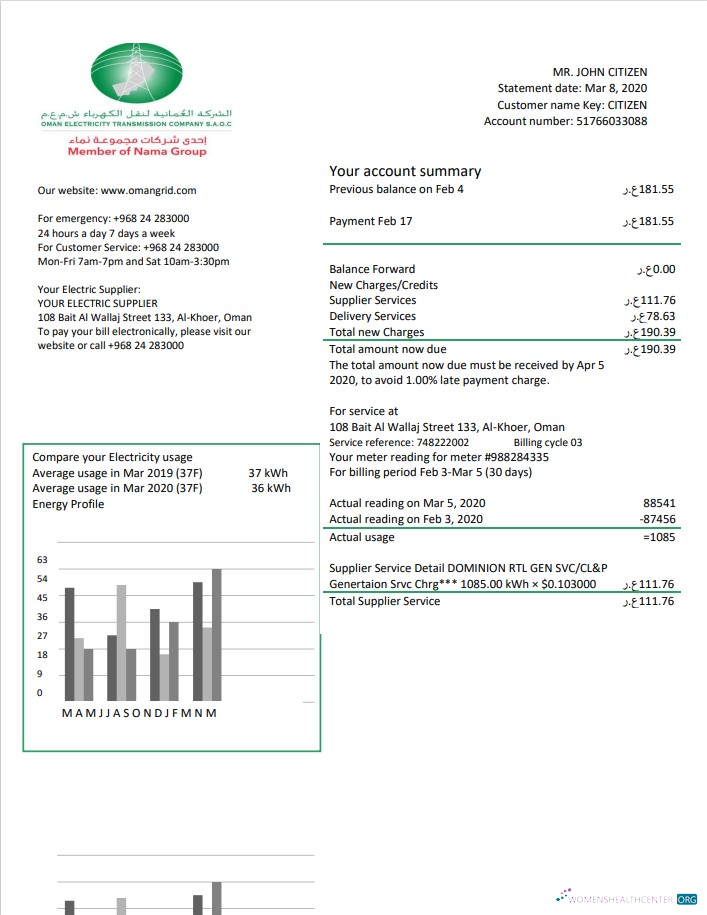 download Oman Electricity Transmission Company electricity utility bill template in Word and PDF format PDF template